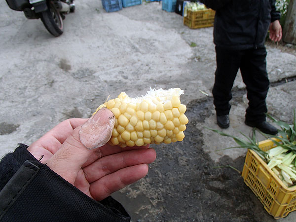 茹でたとうもろこし